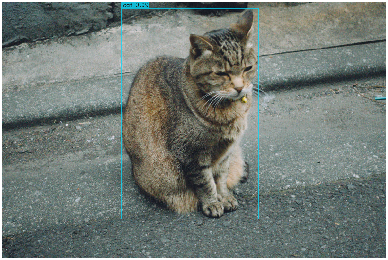 after_rendering_neko
